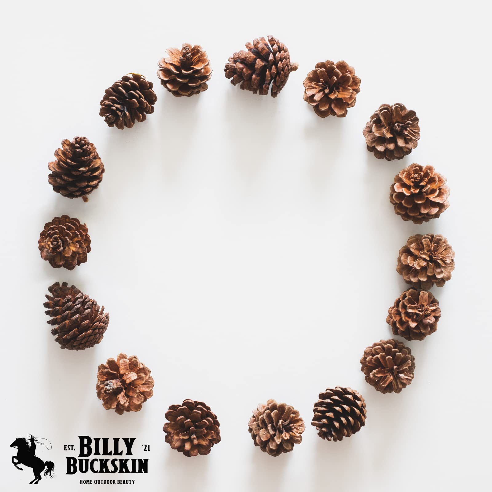 Billy Buckskin pine cone being painted as craft project for personalized ornaments