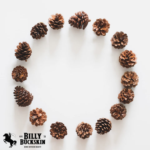 Billy Buckskin pine cones hung as Christmas ornaments, rustic charm