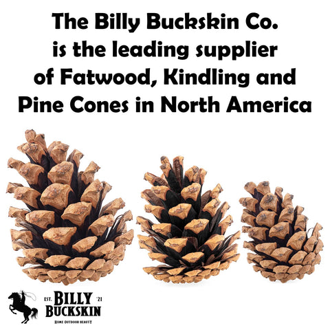 Billy Buckskin pine cones on a crafting table, inspires DIY projects