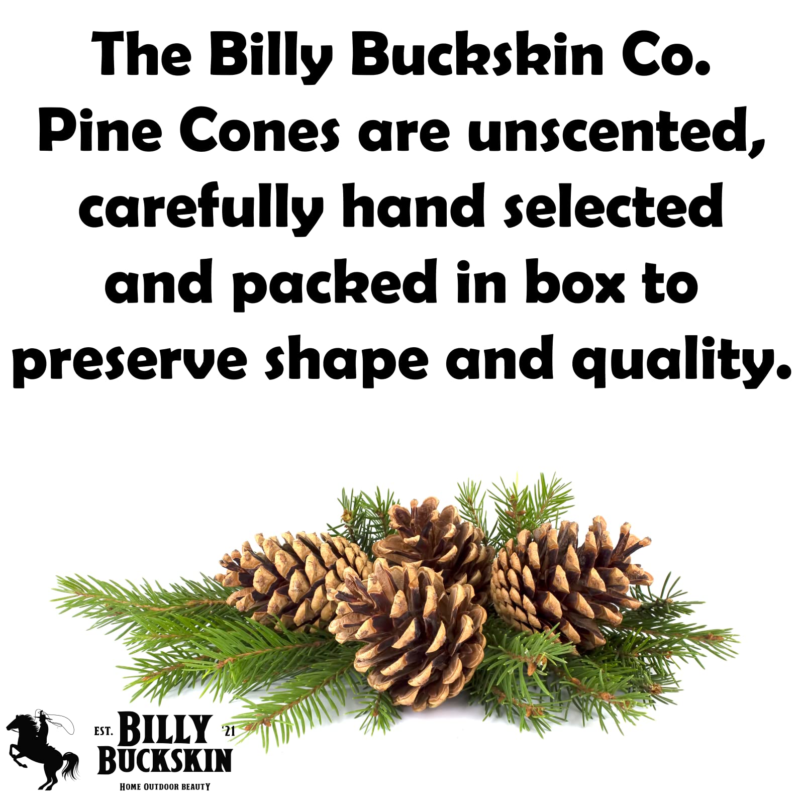 Billy Buckskin pine cones used as vase filler, enhances tabletop décor