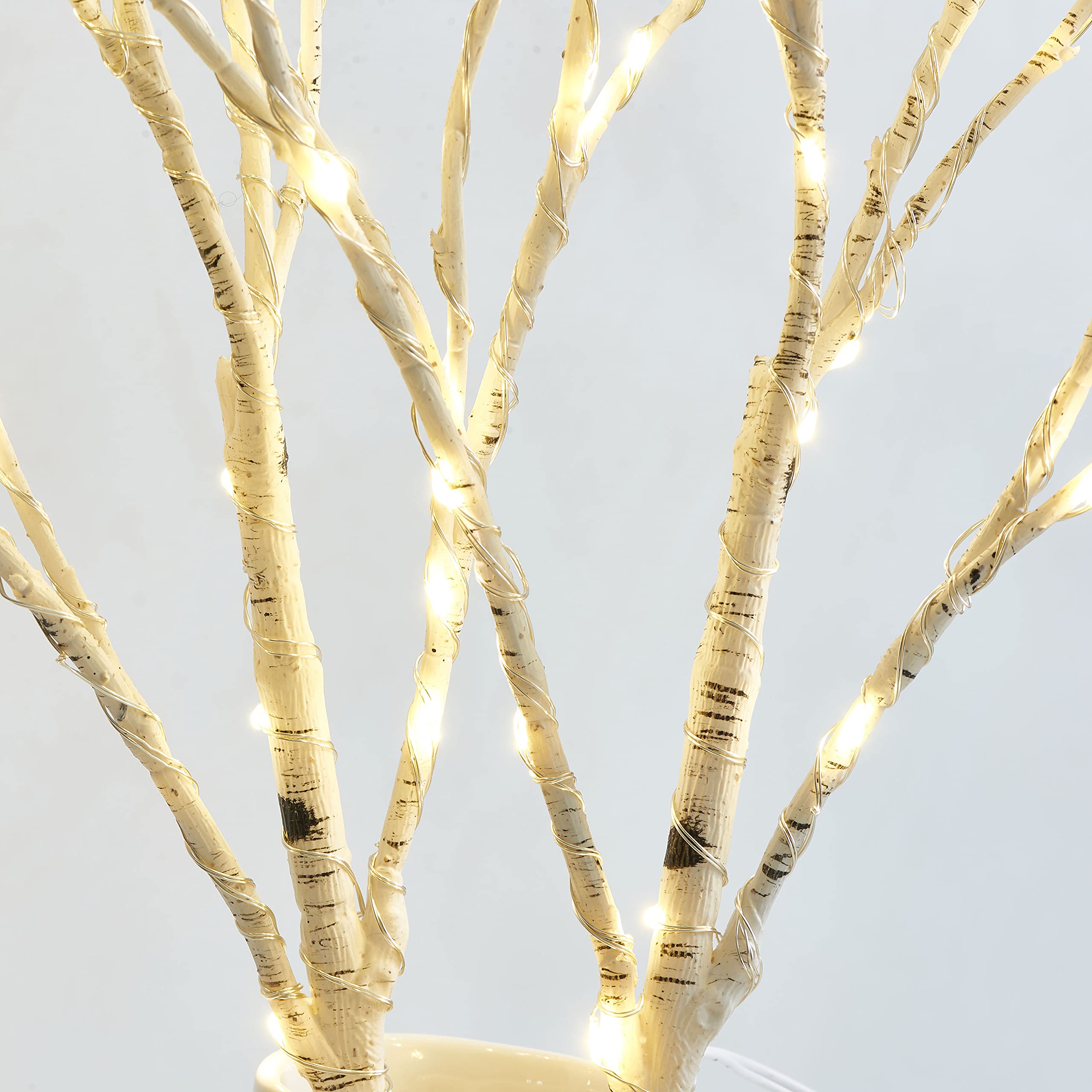 Birchlitland branch arranged in vase creating warm centerpiece ambiance