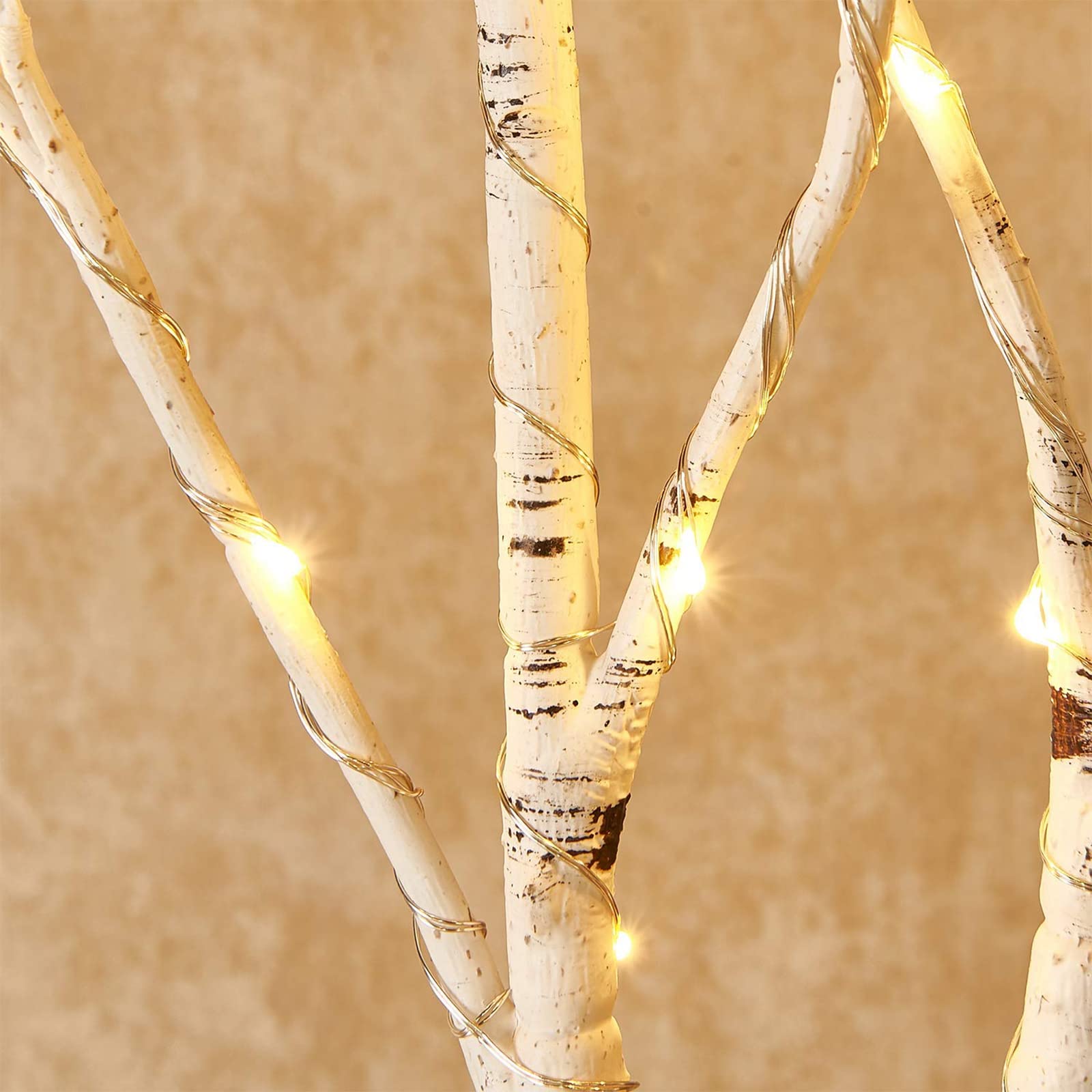Birchlitland close-up birch bark texture showing realistic detail