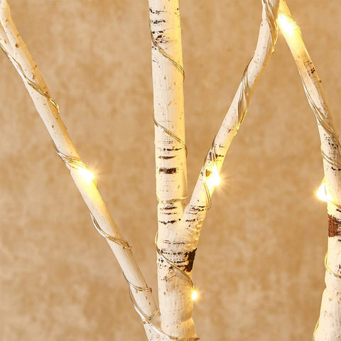 Birchlitland close-up birch bark texture showing realistic detail