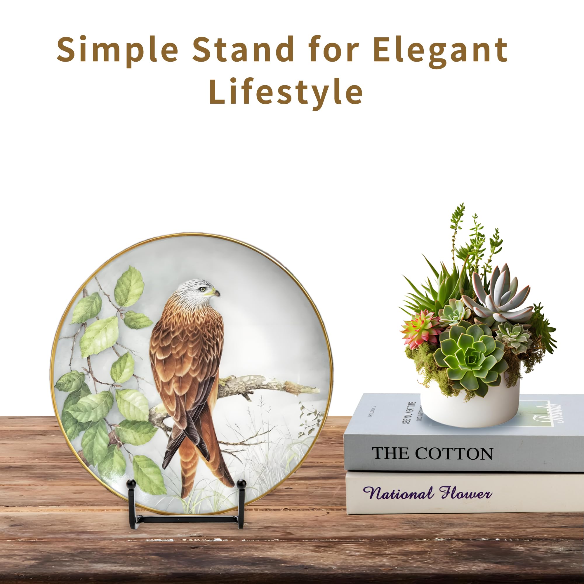 Birity retail window setup showcasing multiple stands for merchandising