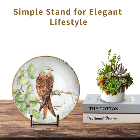Birity retail window setup showcasing multiple stands for merchandising