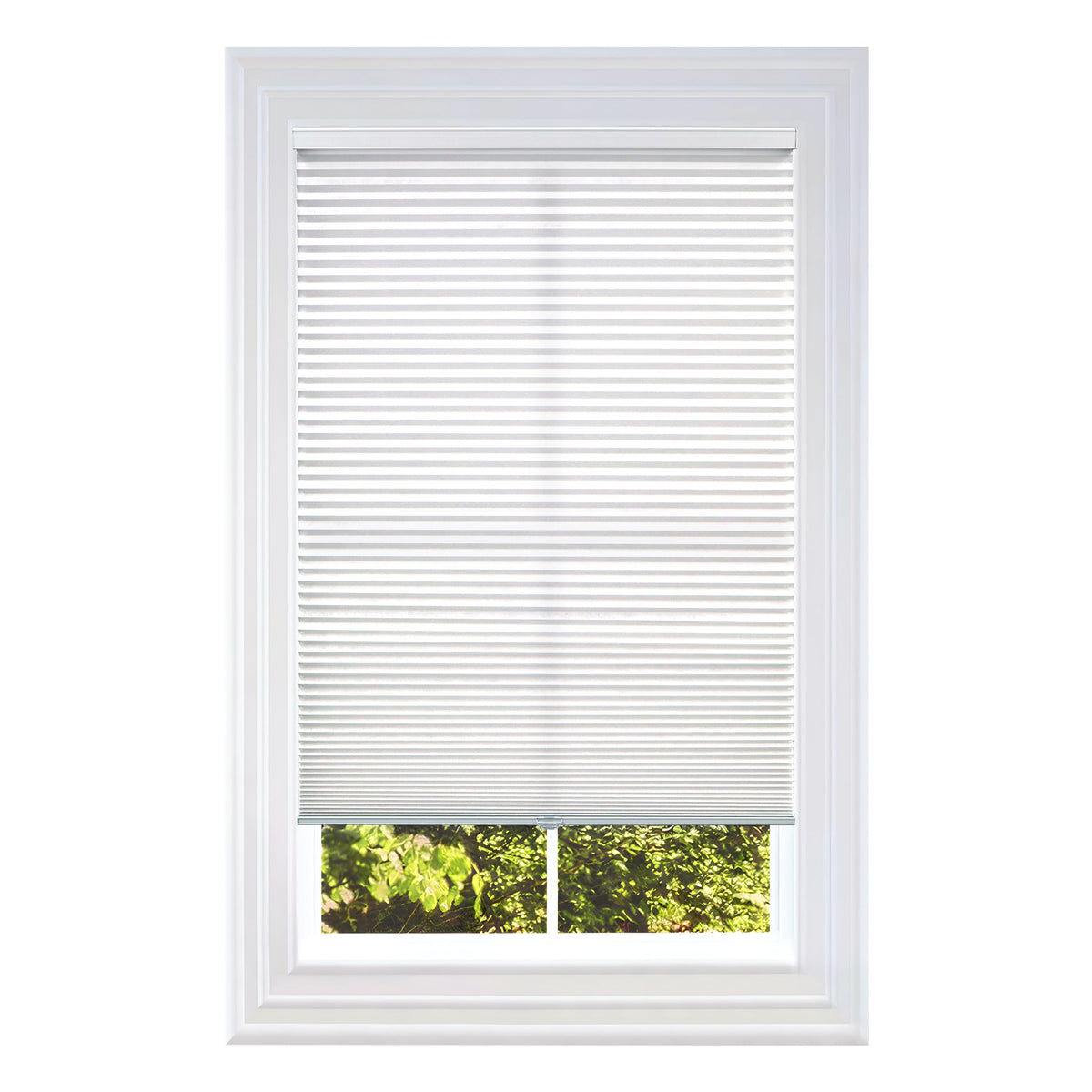 BlindsAvenue front view of white cordless cellular shade showing clean modern look and privacy