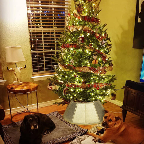 Blissun lifestyle living room display shows elegant festive atmosphere