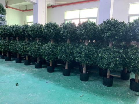 BLONYUVC styled on indoor console adding low-maintenance greenery