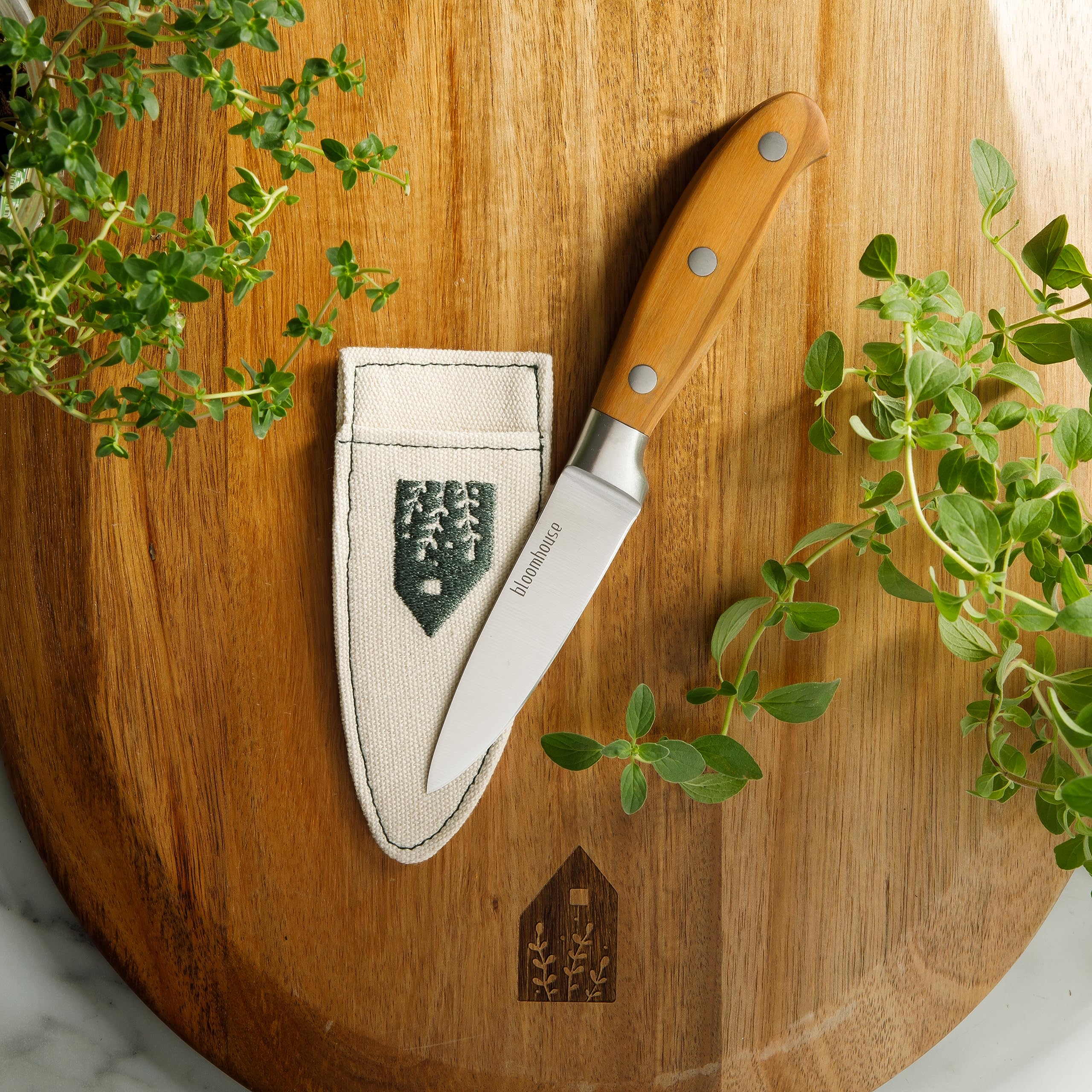bloomhouse paring knife handle close-up highlighting olive wood grain and grip