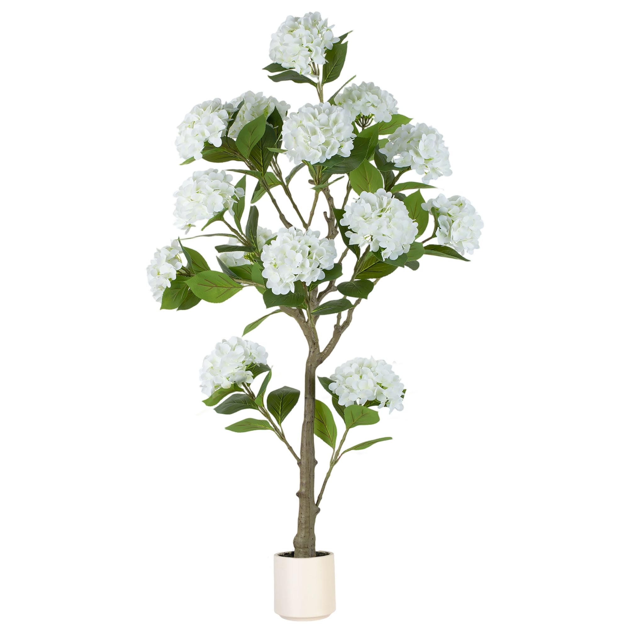 BLOSMON front view showing full white hydrangea blooms and silhouette benefit curb appeal