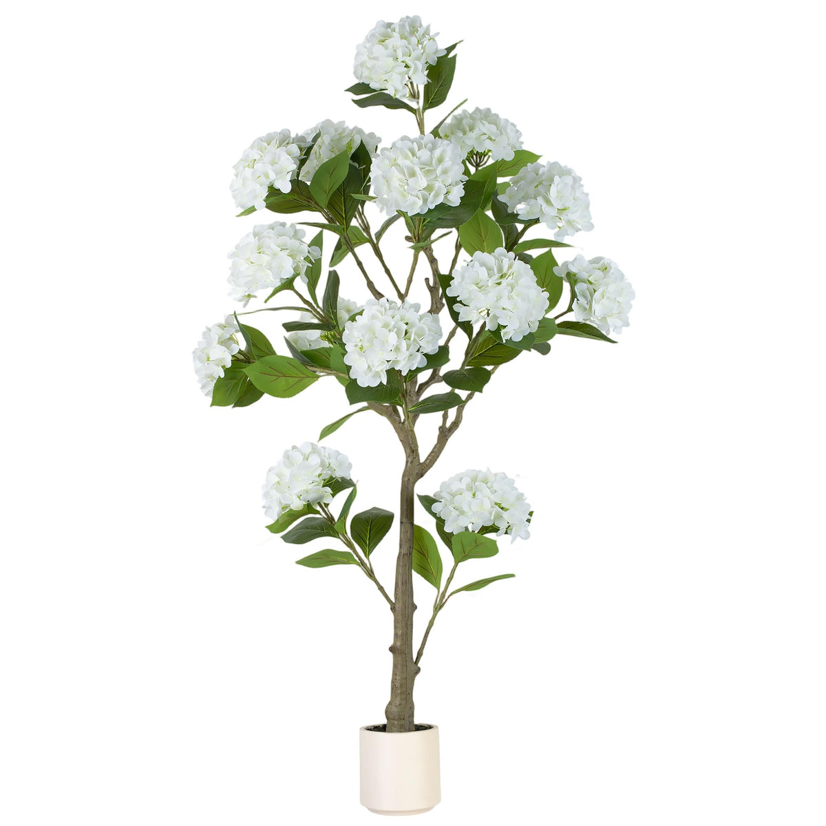 BLOSMON front view showing full white hydrangea blooms and silhouette benefit curb appeal