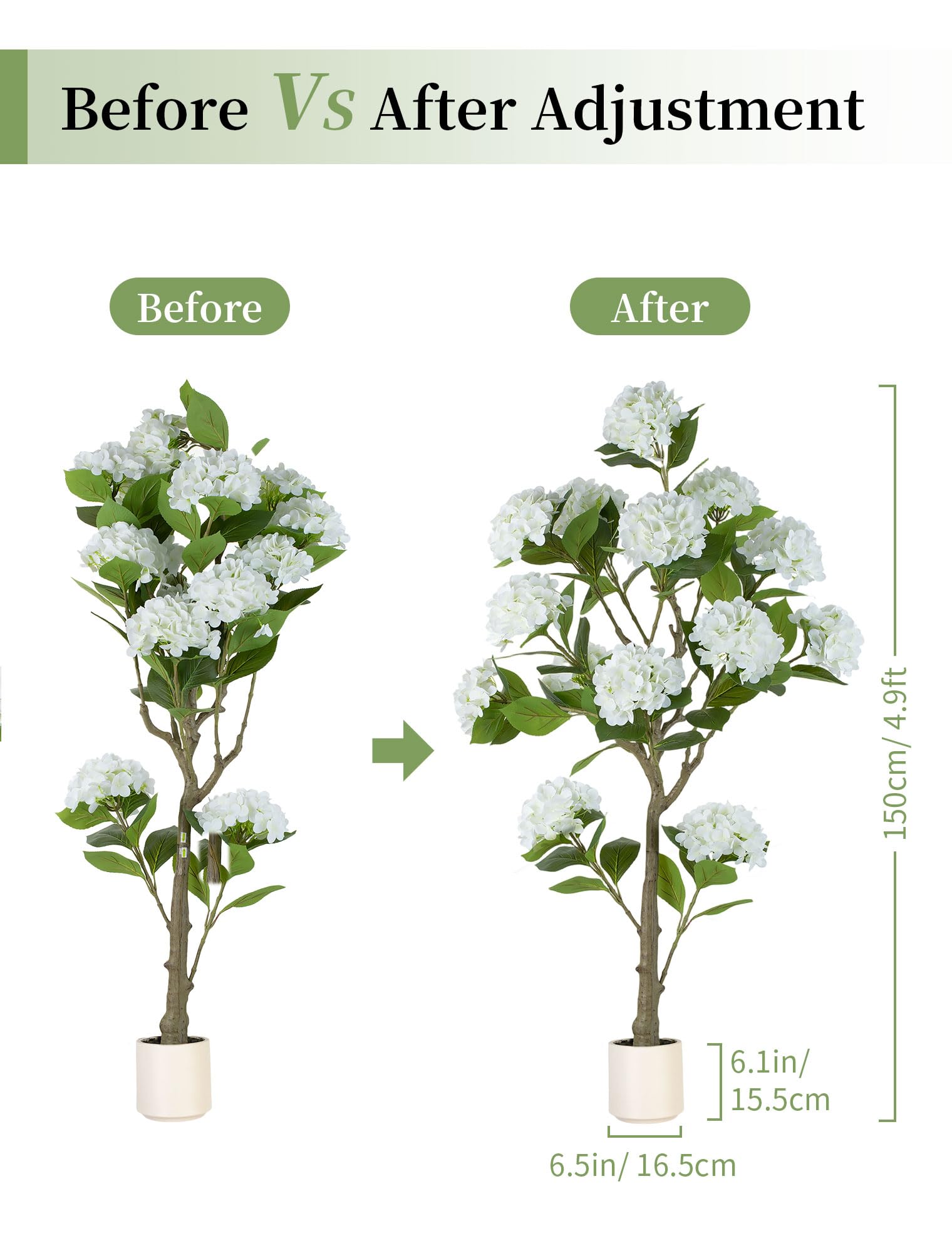 BLOSMON in a porch planter showing entrance styling and low-maintenance curb appeal