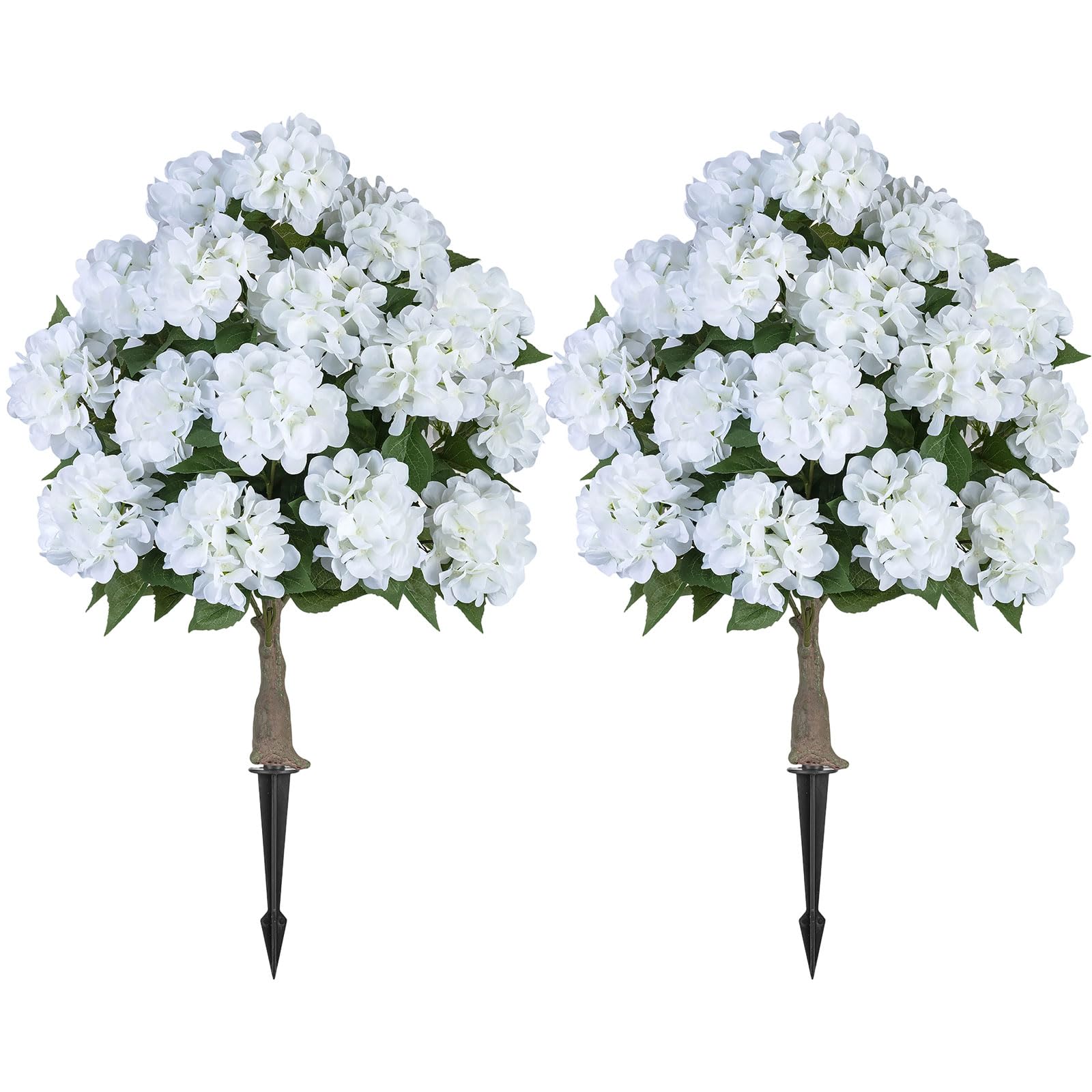 BLOSMON front view of hydrangea tree showing full canopy and curb appeal