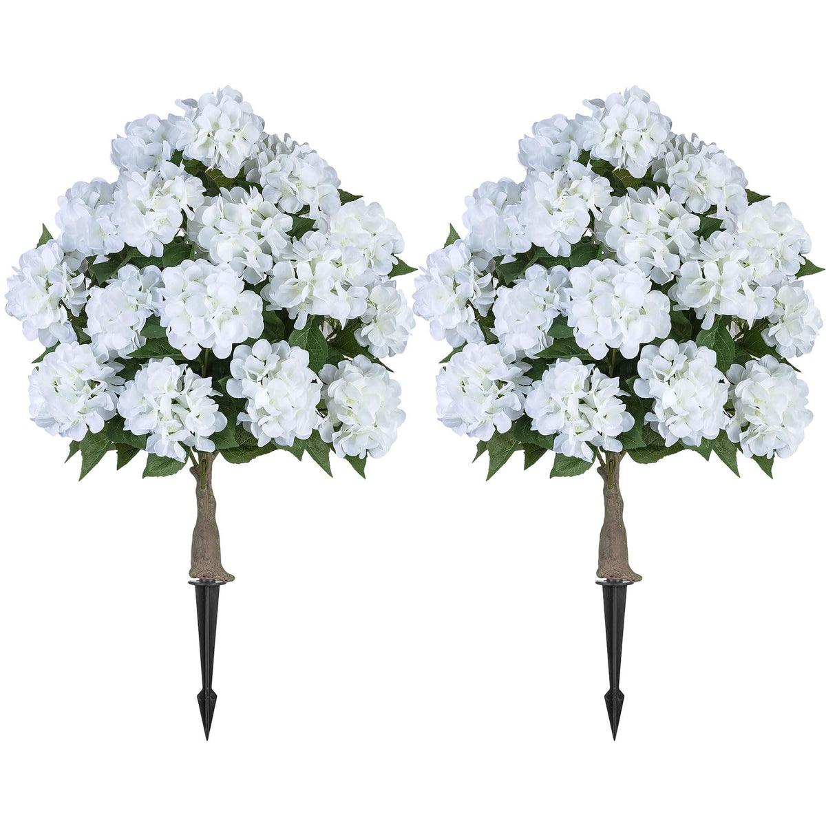 BLOSMON front view of hydrangea tree showing full canopy and curb appeal