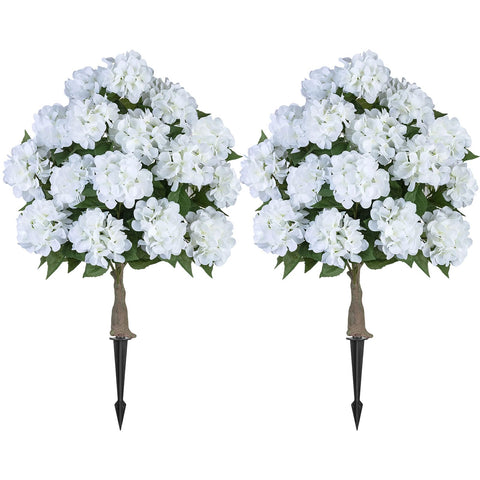 BLOSMON front view of hydrangea tree showing full canopy and curb appeal