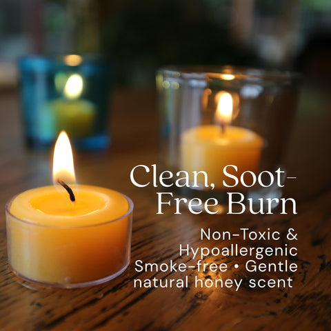 Bluecorn Beeswax cluster display demonstrating warm group illumination