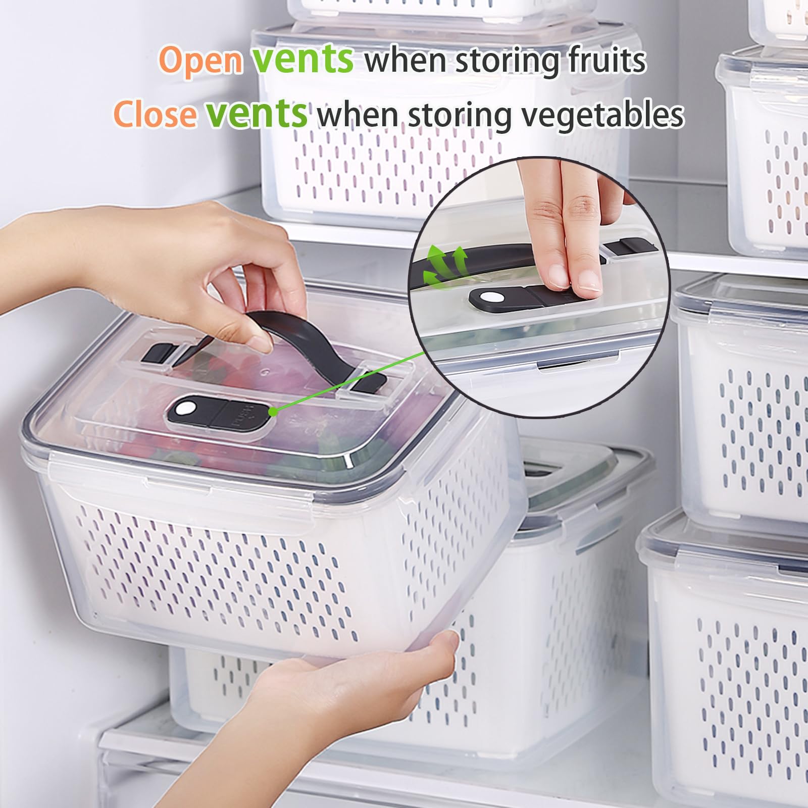 BOICHU containers filled with fruits and vegetables demonstrating versatile sizes