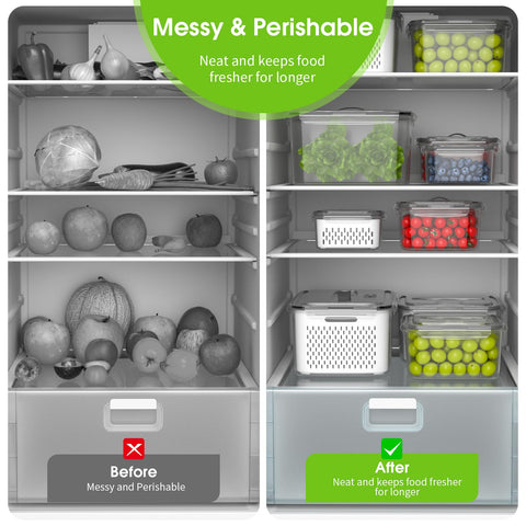 BOICHU container in freezer and microwave showcasing temperature-safe convenience