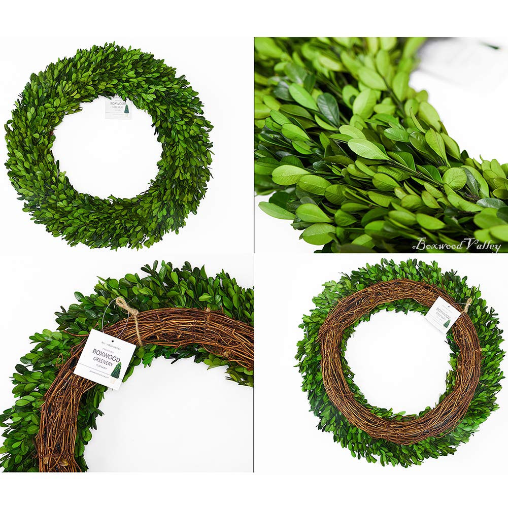BOXWOOD VALLEY wreath with decorative ribbon showing styling versatility