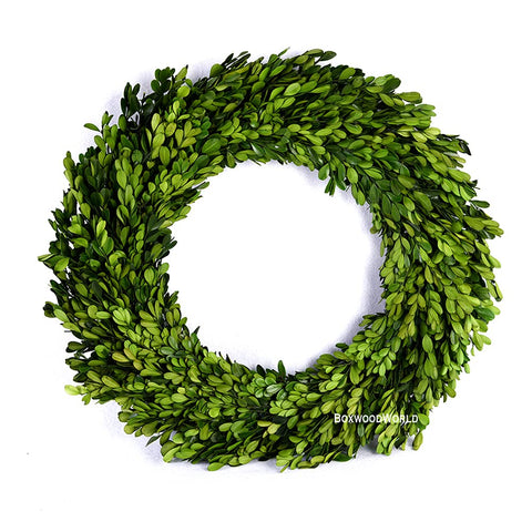 BOXWOOD WORLD front view of 17-inch preserved boxwood wreath showing full green foliage and shape