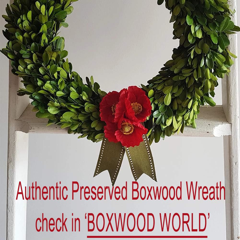 BOXWOOD WORLD wreath held in hand for size comparison showing lightweight, easy-to-hang design