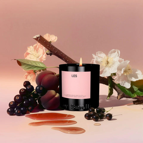 Boy Smells LES in a living room setting, adds polished fragrance and ambient decoration