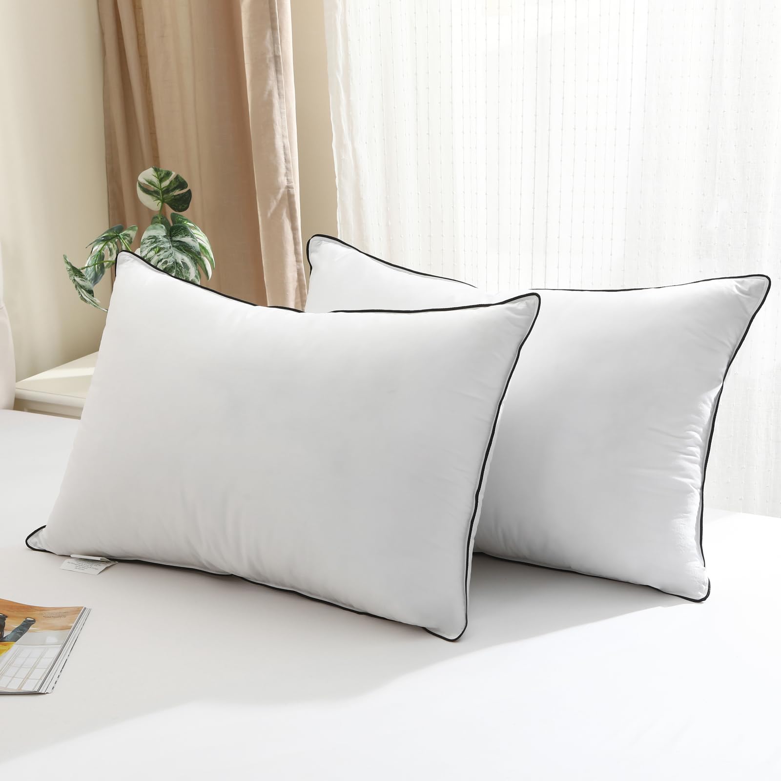 BPC pillow front packaging showing set of two and neat black piping for a refined look