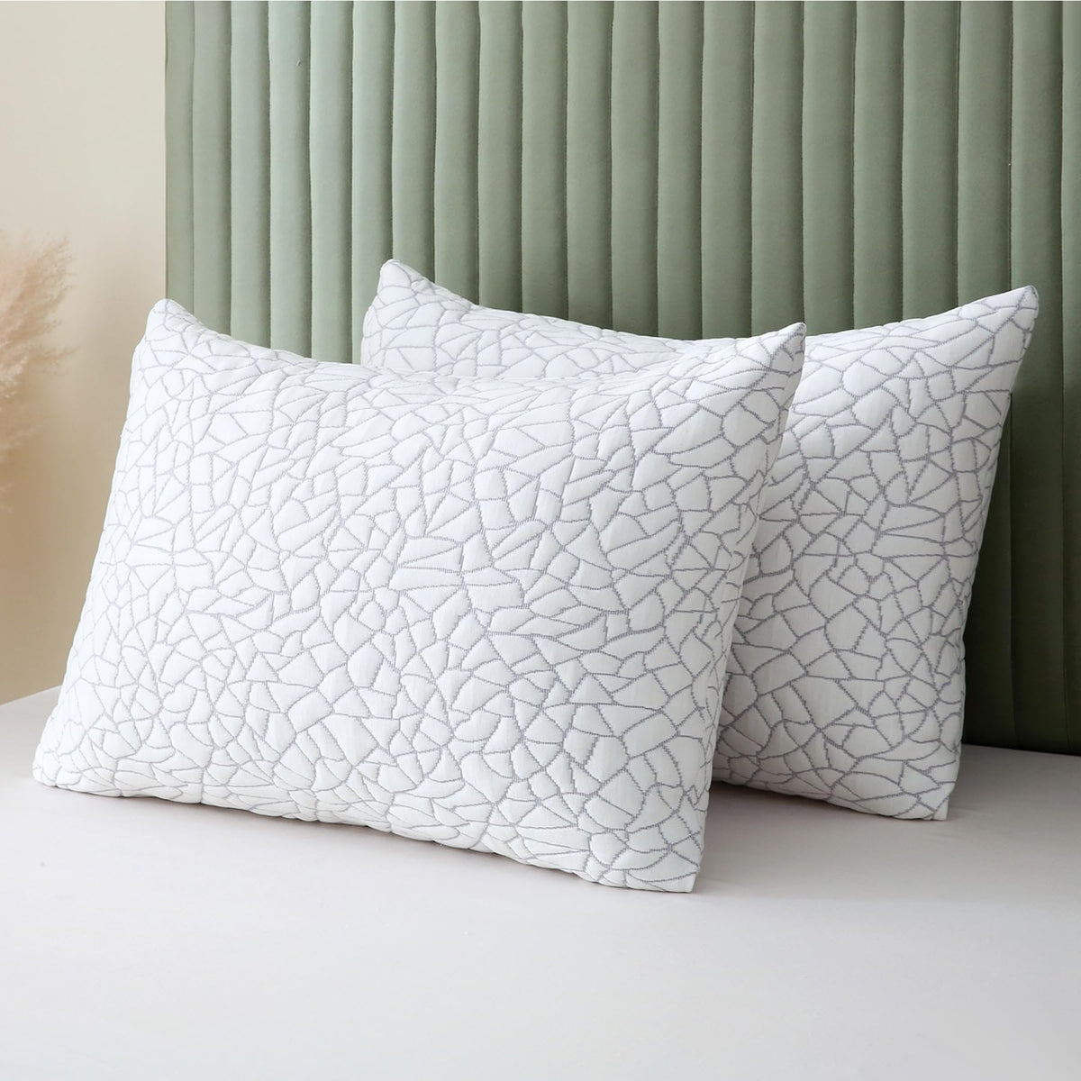 BPC queen pillows front packaging showing set of two and benefits