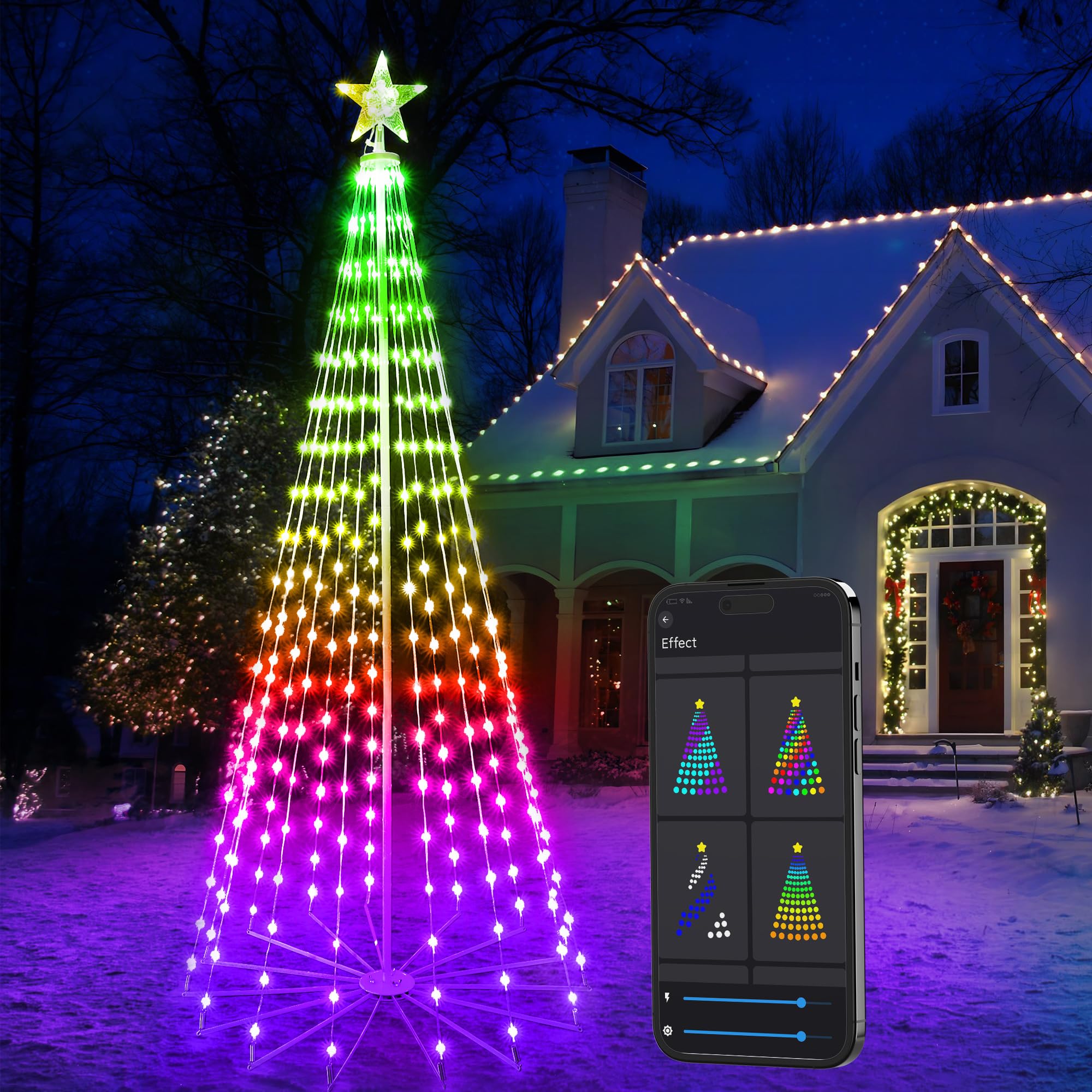 Brizled front view of full cone tree showing vibrant color options and curb appeal