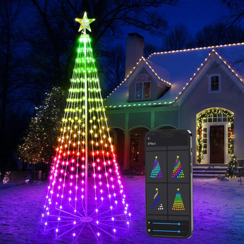 Brizled front view of full cone tree showing vibrant color options and curb appeal