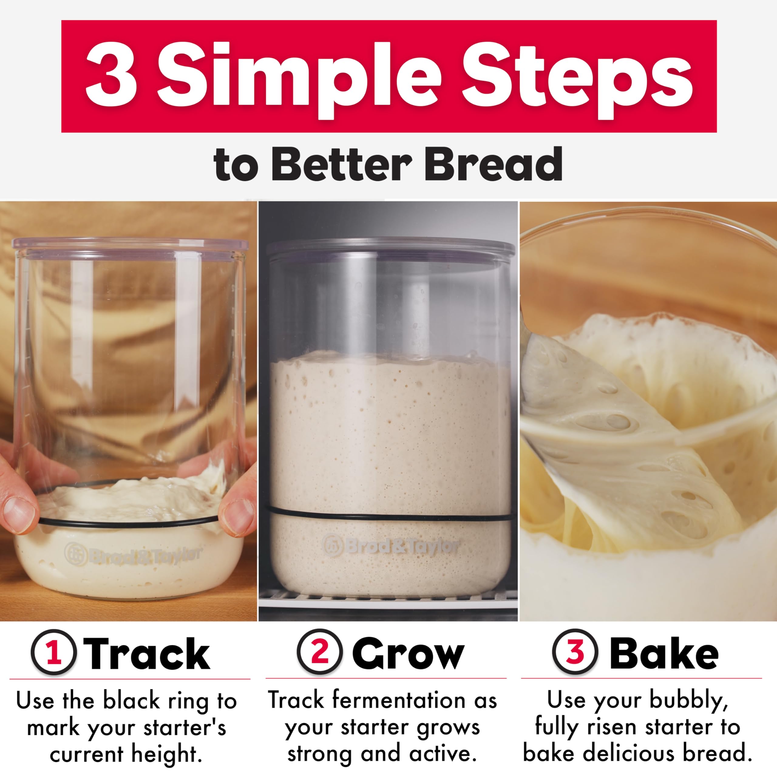 Brod & Taylor starter jar with black ring marking rise for quick monitoring