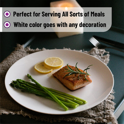 Brew To A Tea plates in dishwasher showing easy-clean convenience benefit