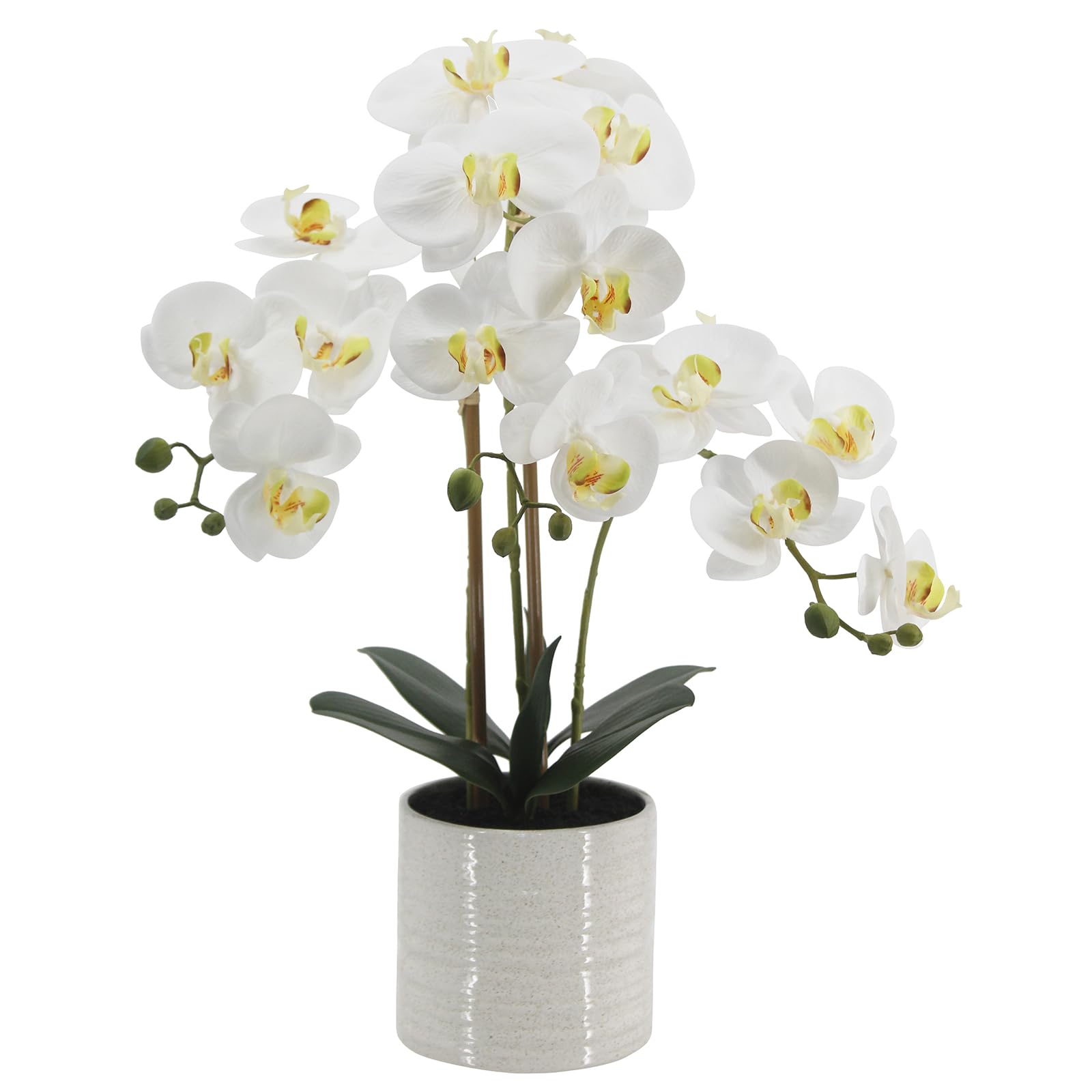 BTHM DSGN front view of potted orchid showing realistic blooms and instant decor upgrade