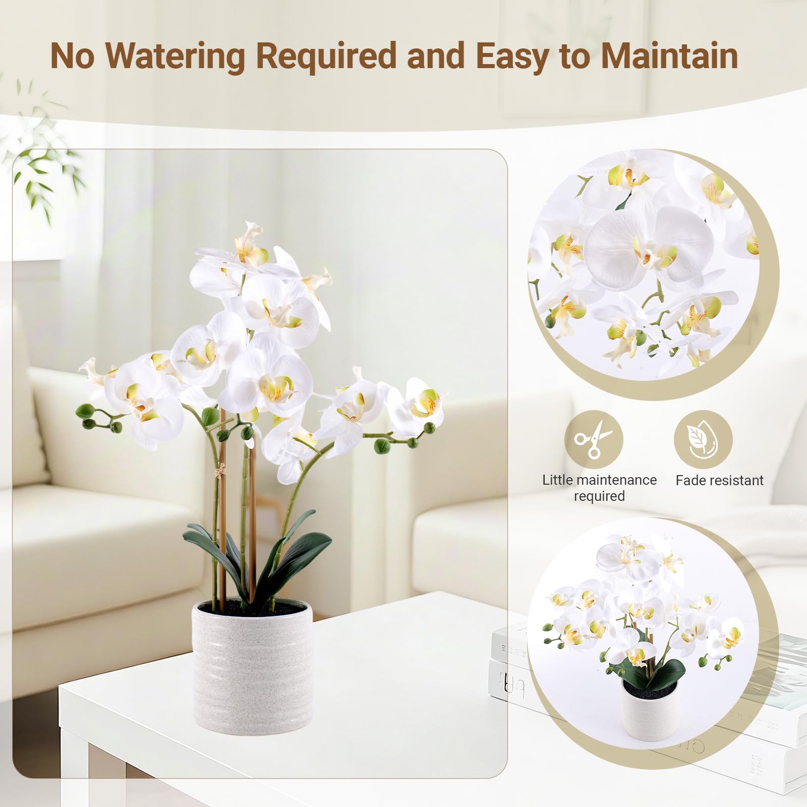 BTHM DSGN weighted pot and base ensuring stable display and worry-free placement
