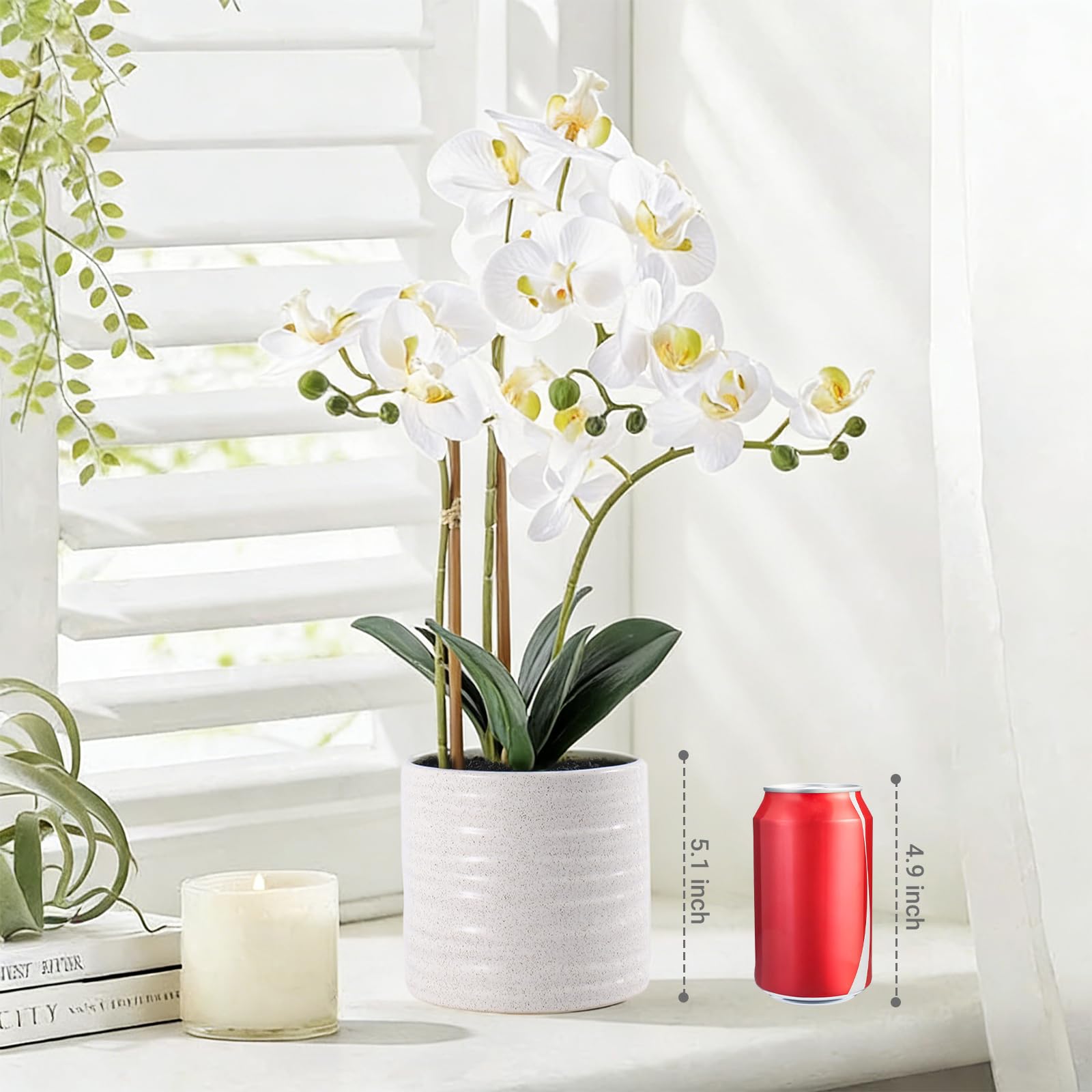 BTHM DSGN orchid beside a book for scale showing compact 23-inch height benefit