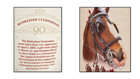 Budweiser certificate of authenticity and numbering displayed adding collectible provenance benefit