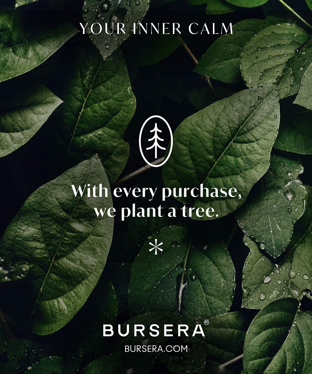 Bursera interior ash collection detail showing contained ashes for easy cleanup