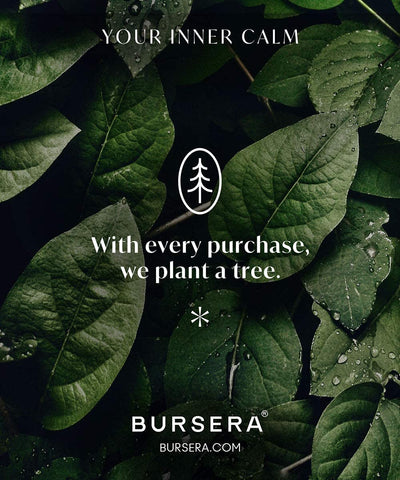 Bursera interior ash collection detail showing contained ashes for easy cleanup