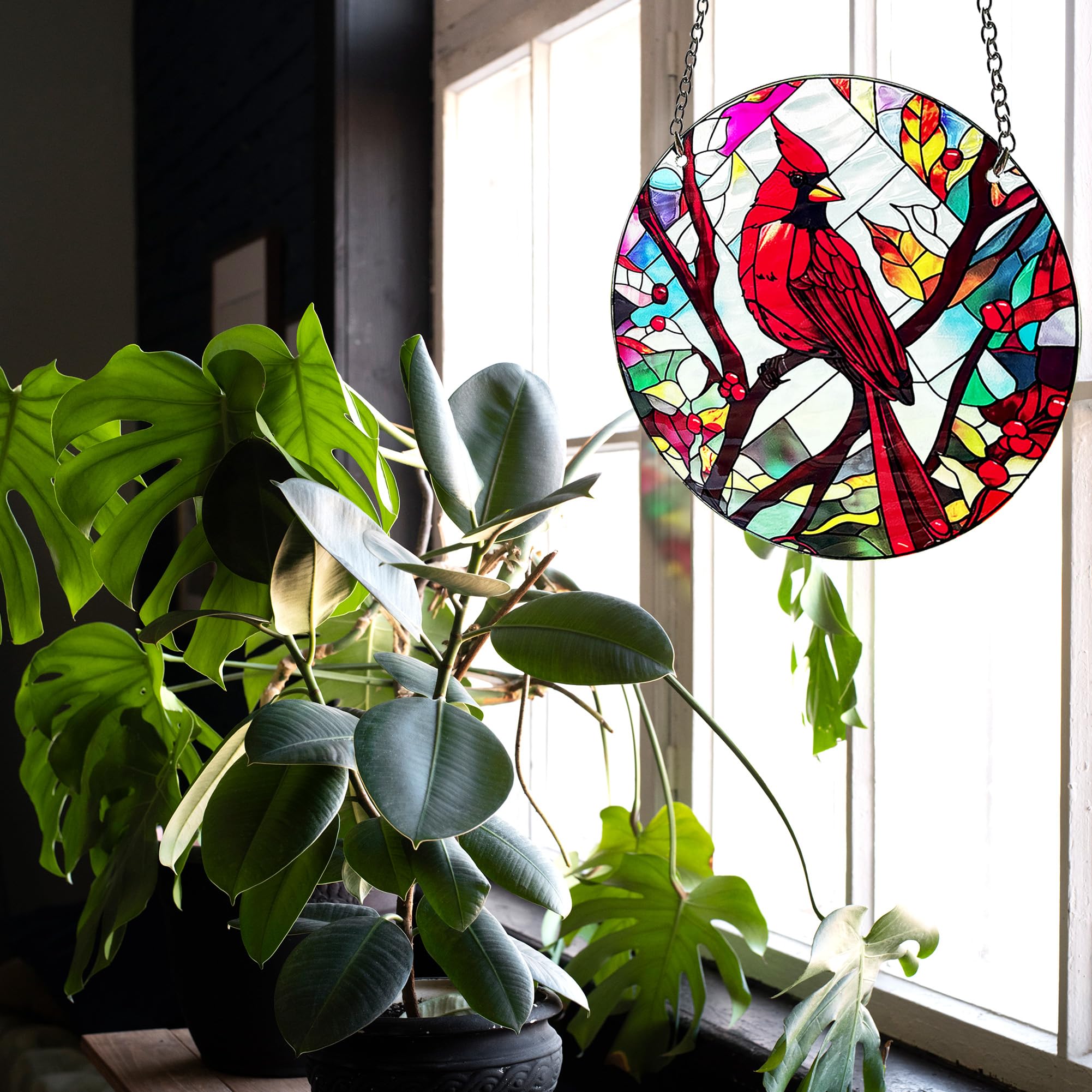 BXLZ lifestyle display in a sunlit room conveying warmth and decorative impact