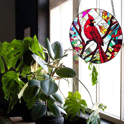 BXLZ lifestyle display in a sunlit room conveying warmth and decorative impact