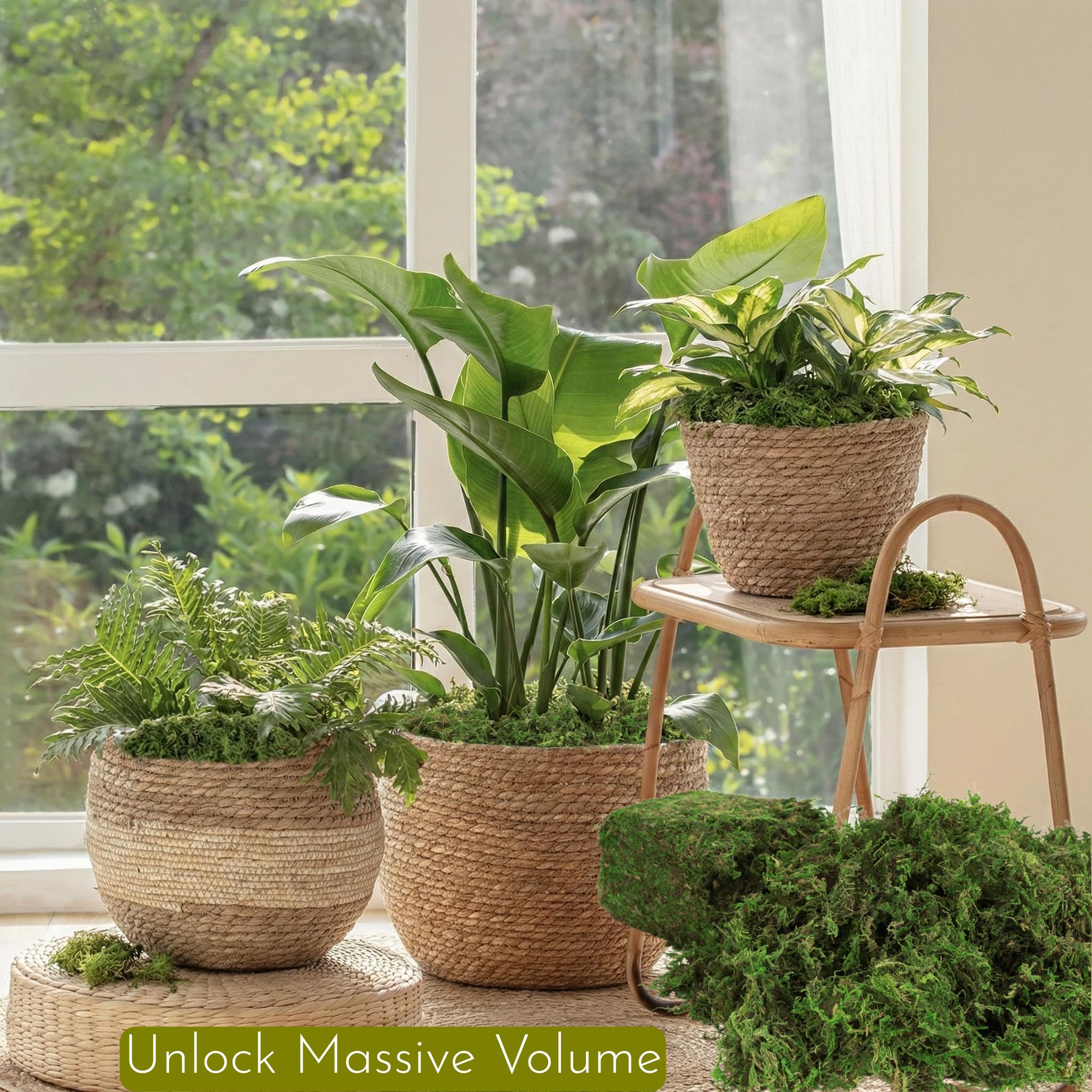 BYHER resealable bag detail keeping moss fresh between projects and storage