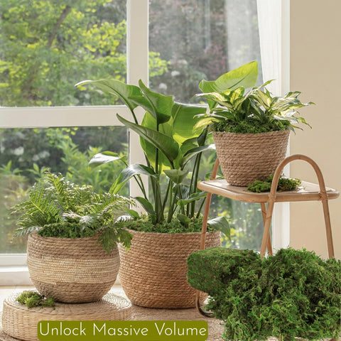 BYHER resealable bag detail keeping moss fresh between projects and storage