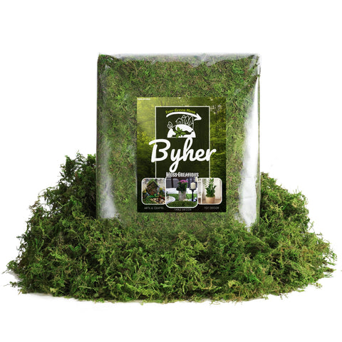 BYHER moss in a pet hobby kit demonstrating clean, safe crafting use
