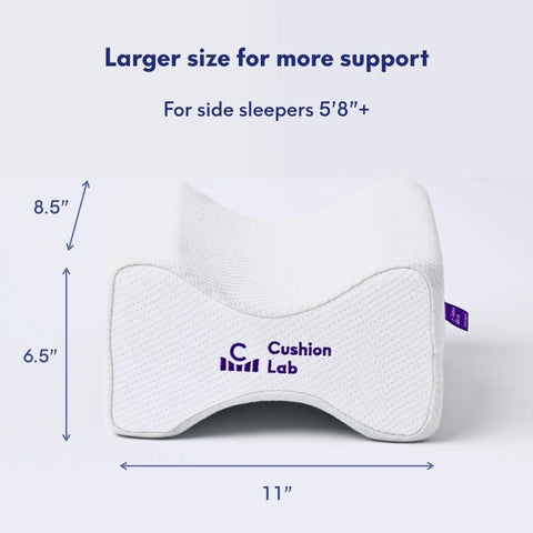 C CUSHION LAB size comparison with ruler to show large dimensions
