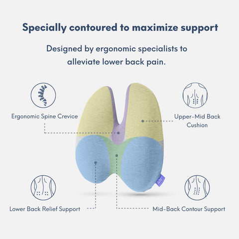 C CUSHION LAB side profile highlighting multi-region contour for improved posture