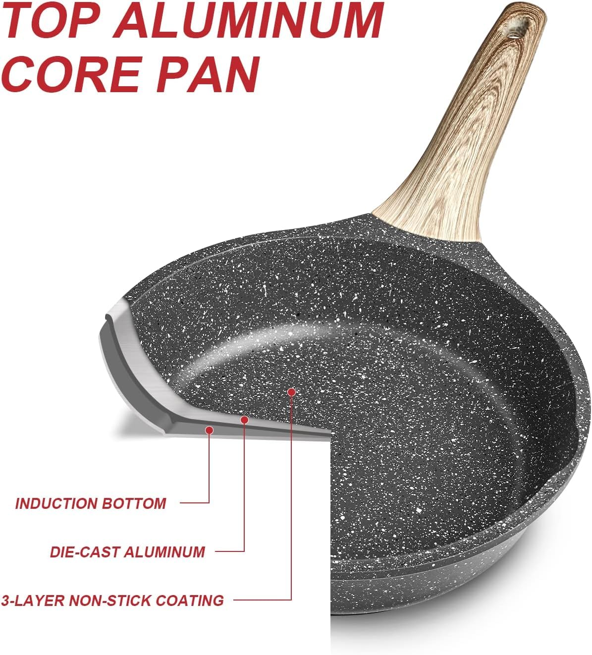 Caannasweis pan beside a plate showing 9.5 inch size scale