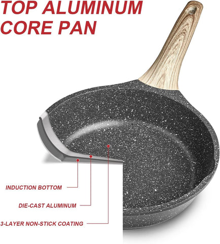 Caannasweis pan beside a plate showing 9.5 inch size scale