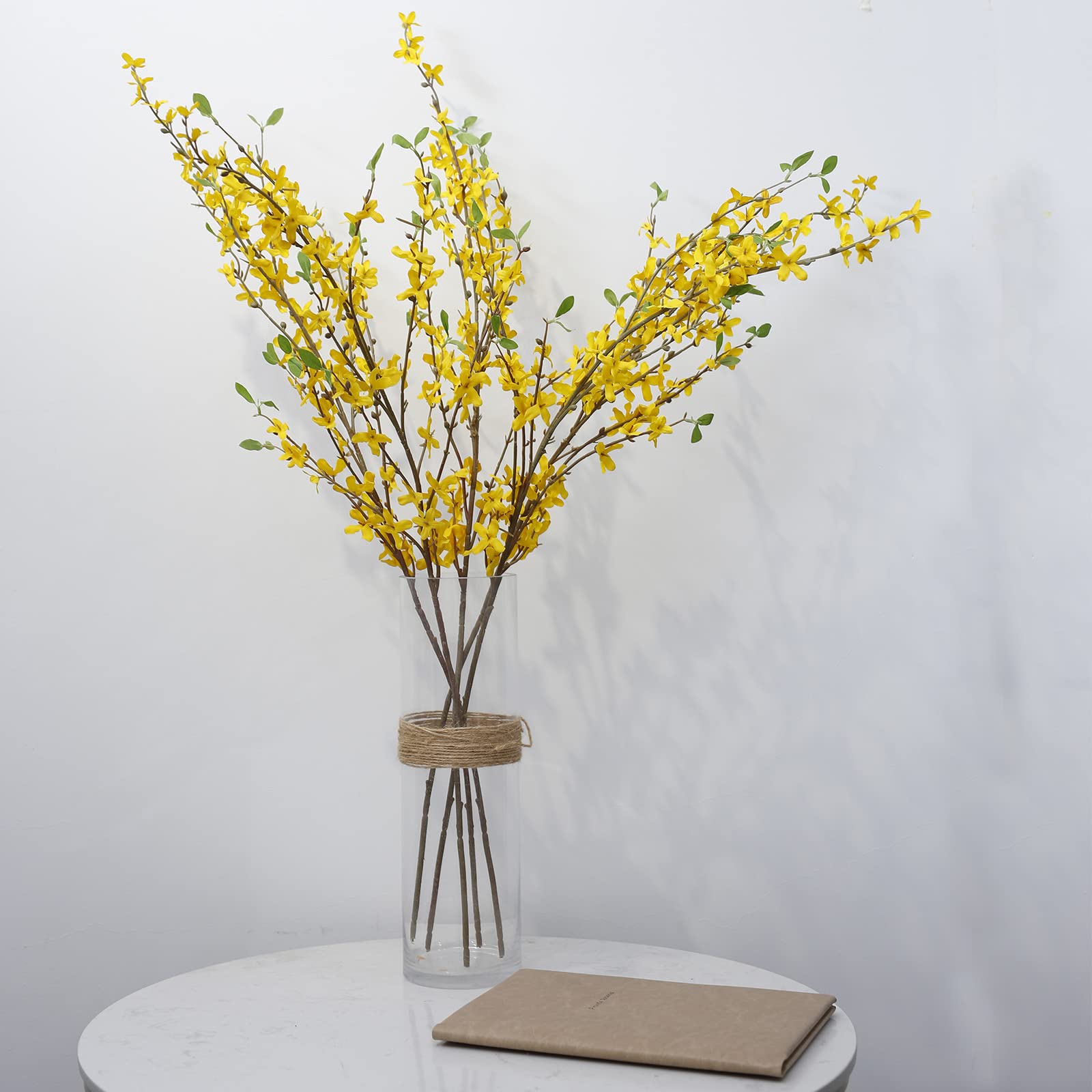 cacise forsythia packaging and unboxed showing compact shipping ease benefit