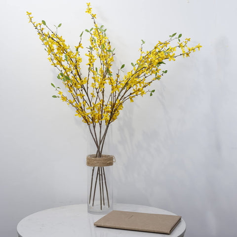 cacise forsythia packaging and unboxed showing compact shipping ease benefit