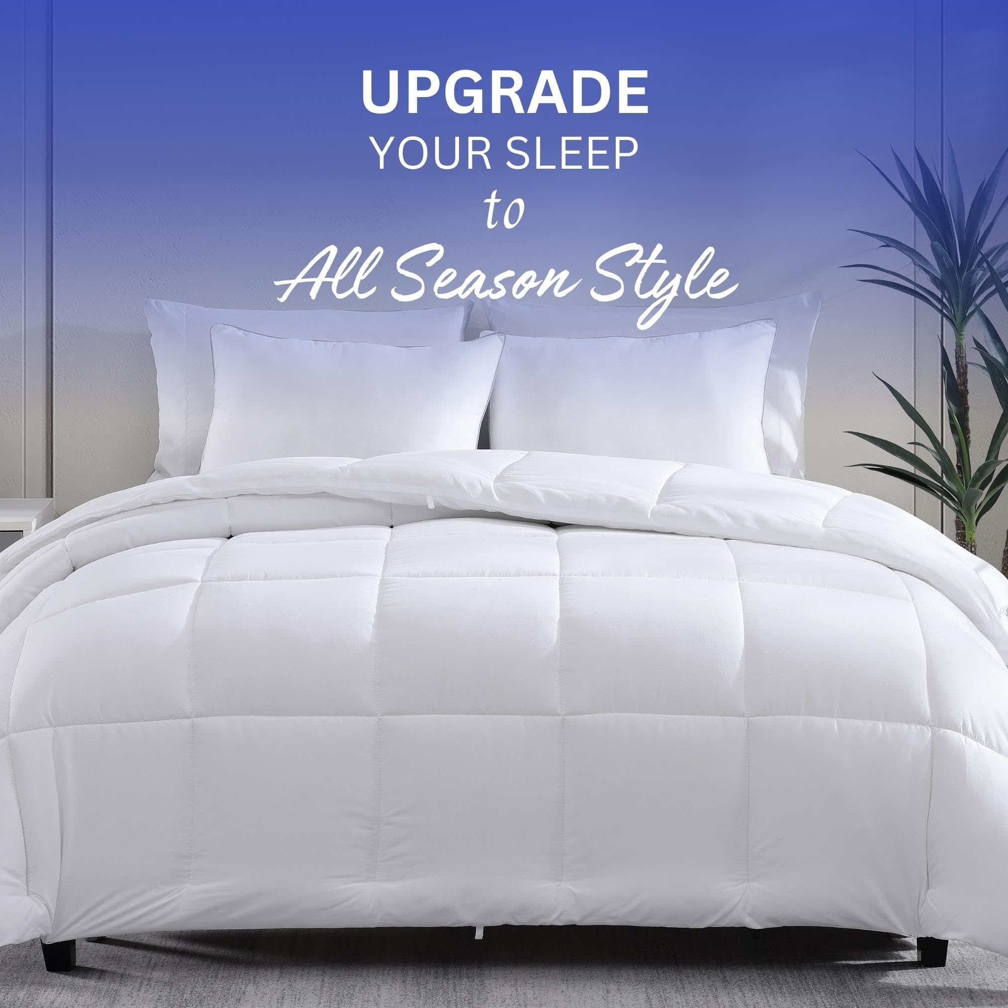Casa Platino queen comforter overlay on mattress demonstrating size coverage